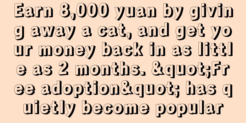 Earn 8,000 yuan by giving away a cat, and get your money back in as little as 2 months. "Free adoption" has quietly become popular