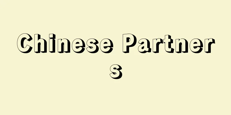 Chinese Partners