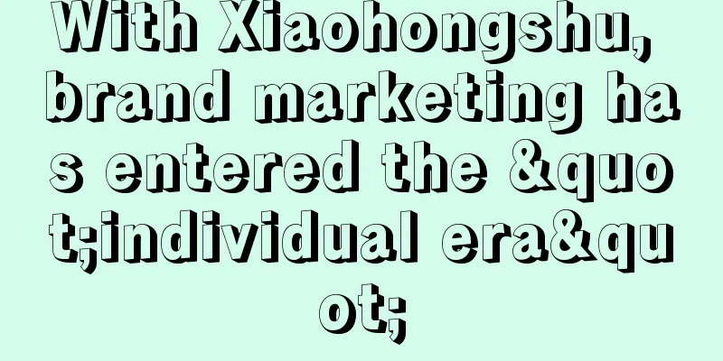 With Xiaohongshu, brand marketing has entered the "individual era"