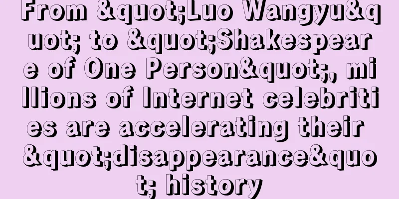 From "Luo Wangyu" to "Shakespeare of One Person", millions of Internet celebrities are accelerating their "disappearance" history