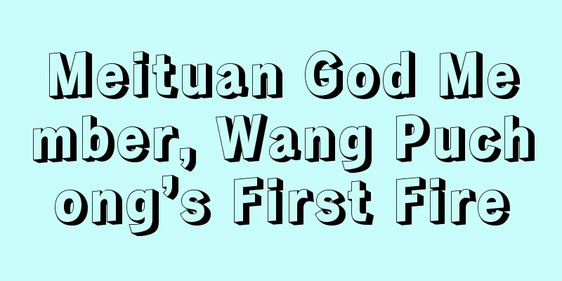 Meituan God Member, Wang Puchong’s First Fire