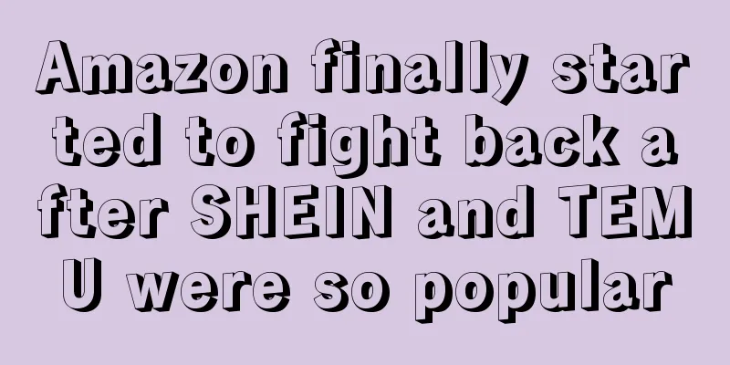 Amazon finally started to fight back after SHEIN and TEMU were so popular