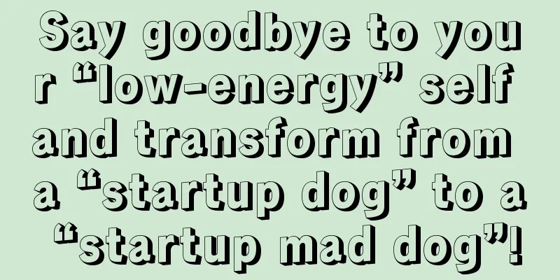 Say goodbye to your “low-energy” self and transform from a “startup dog” to a “startup mad dog”!