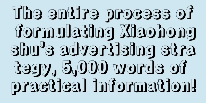 The entire process of formulating Xiaohongshu’s advertising strategy, 5,000 words of practical information!