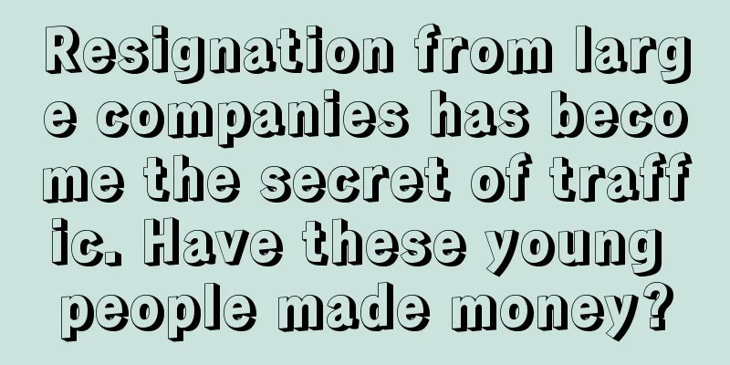 Resignation from large companies has become the secret of traffic. Have these young people made money?