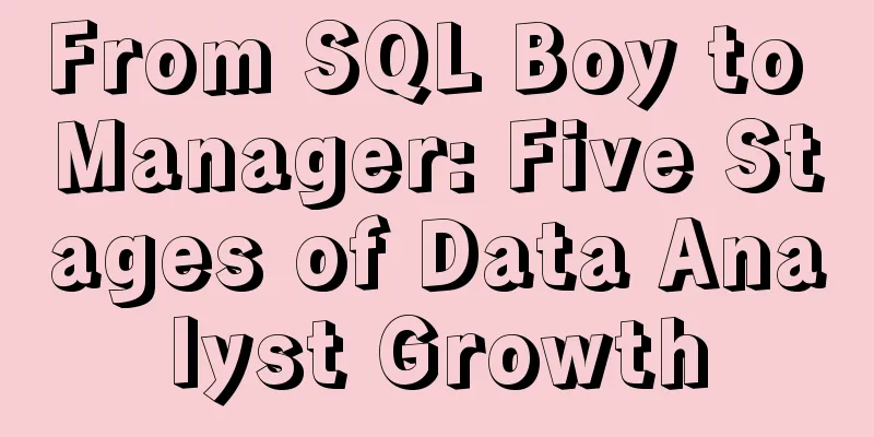 From SQL Boy to Manager: Five Stages of Data Analyst Growth