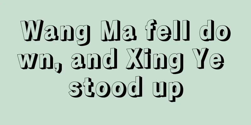 Wang Ma fell down, and Xing Ye stood up