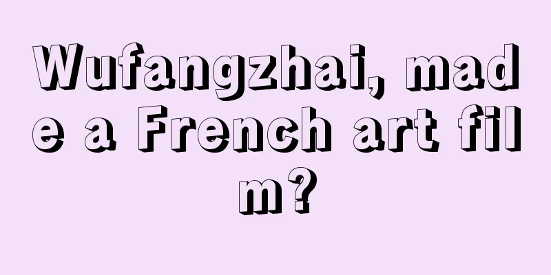 Wufangzhai, made a French art film?