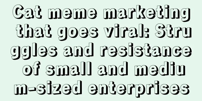 Cat meme marketing that goes viral: Struggles and resistance of small and medium-sized enterprises