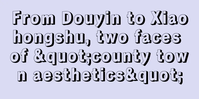From Douyin to Xiaohongshu, two faces of "county town aesthetics"