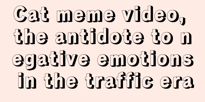 Cat meme video, the antidote to negative emotions in the traffic era