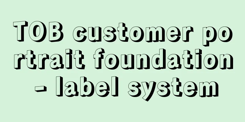 TOB customer portrait foundation - label system