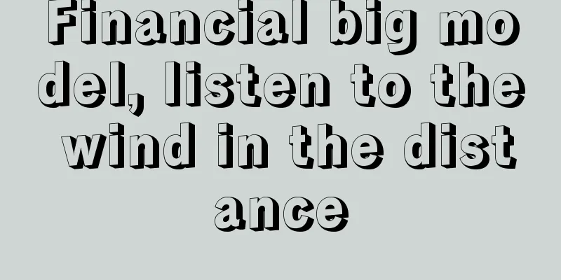 Financial big model, listen to the wind in the distance