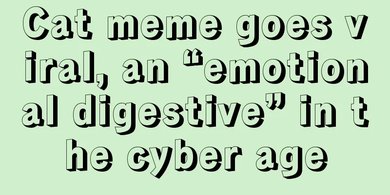 Cat meme goes viral, an “emotional digestive” in the cyber age
