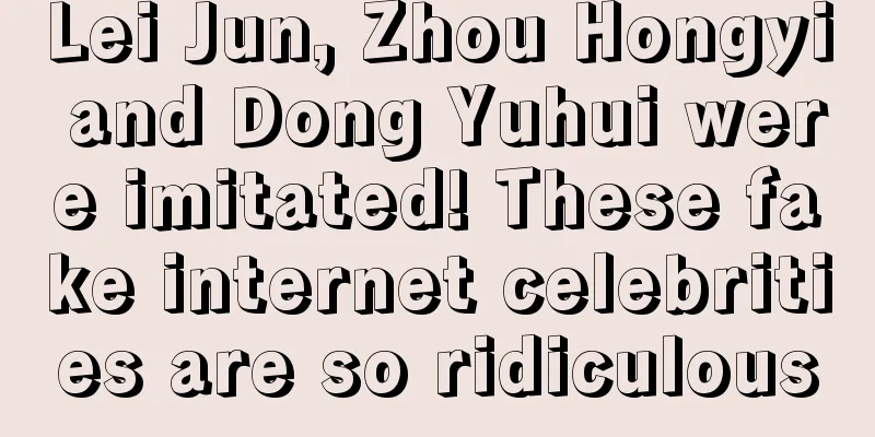 Lei Jun, Zhou Hongyi and Dong Yuhui were imitated! These fake internet celebrities are so ridiculous