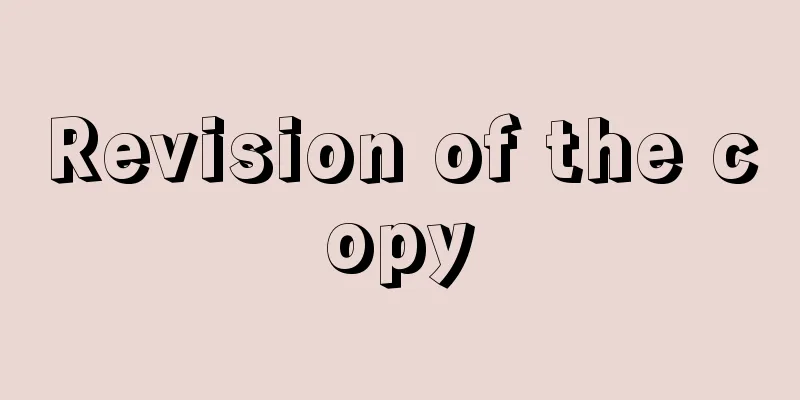 Revision of the copy