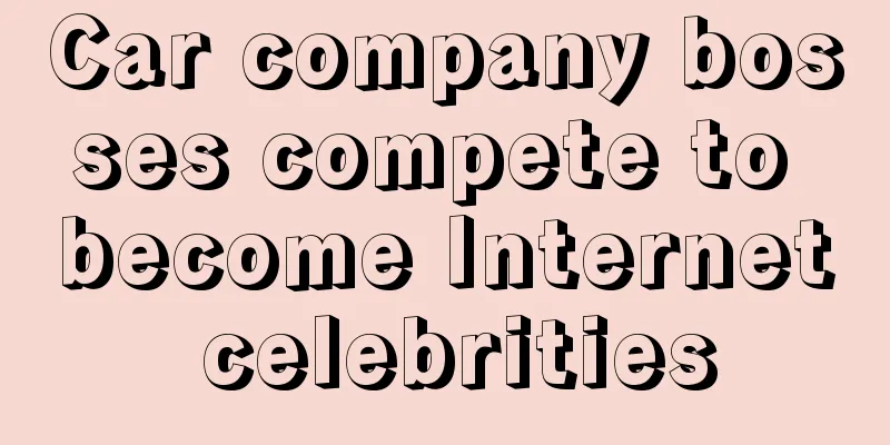 Car company bosses compete to become Internet celebrities