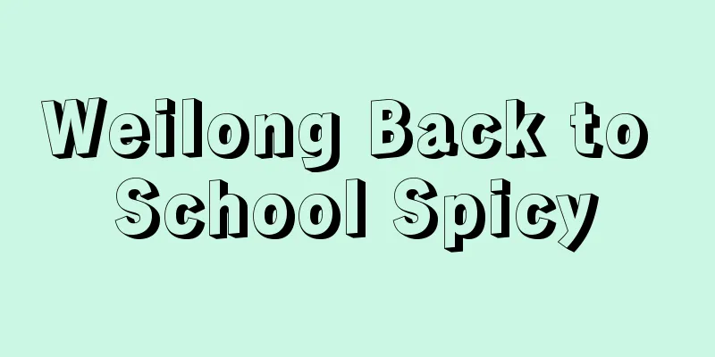 Weilong Back to School Spicy