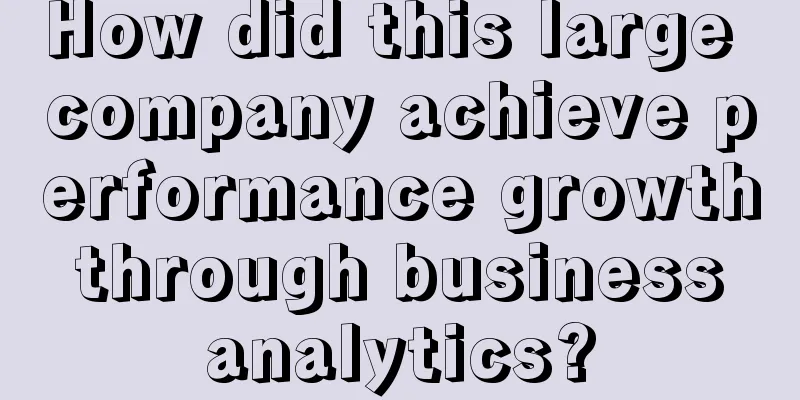 How did this large company achieve performance growth through business analytics?