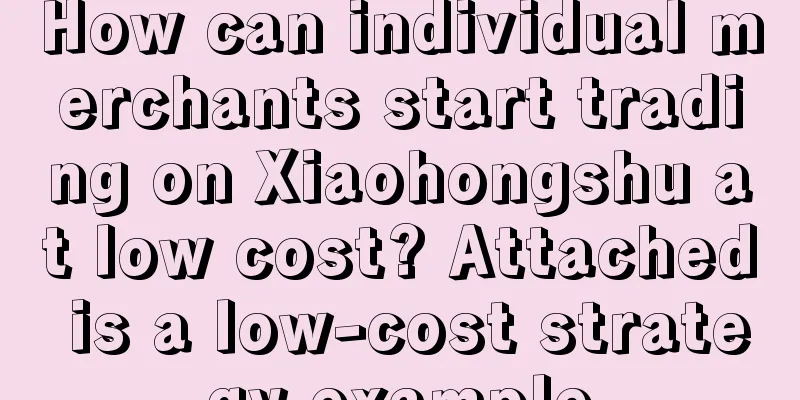 How can individual merchants start trading on Xiaohongshu at low cost? Attached is a low-cost strategy example