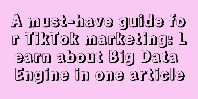 A must-have guide for TikTok marketing: Learn about Big Data Engine in one article