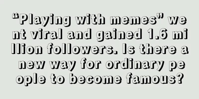 “Playing with memes” went viral and gained 1.6 million followers. Is there a new way for ordinary people to become famous?