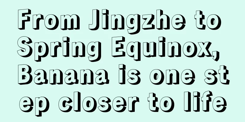 From Jingzhe to Spring Equinox, Banana is one step closer to life