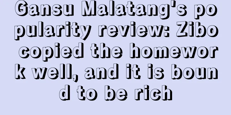 Gansu Malatang's popularity review: Zibo copied the homework well, and it is bound to be rich