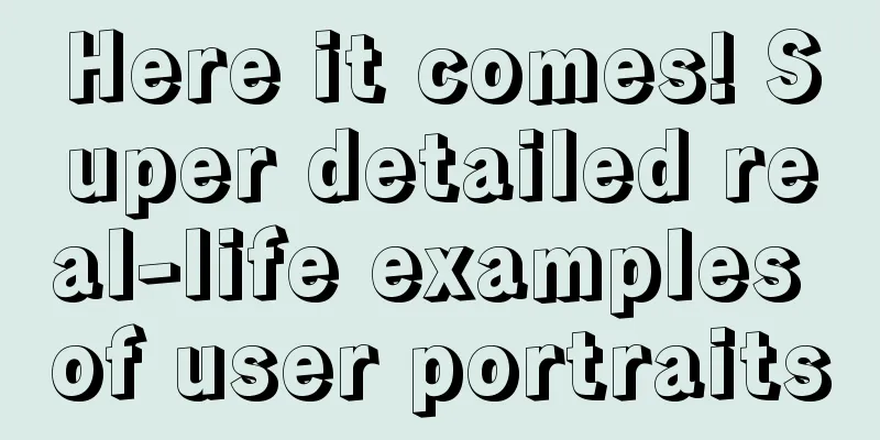 Here it comes! Super detailed real-life examples of user portraits