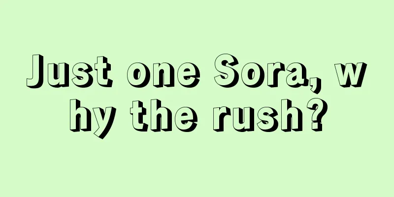 Just one Sora, why the rush?