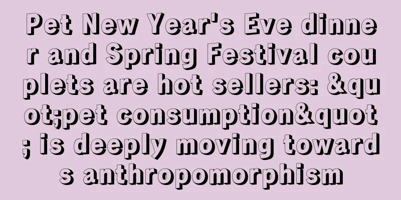 Pet New Year's Eve dinner and Spring Festival couplets are hot sellers: "pet consumption" is deeply moving towards anthropomorphism