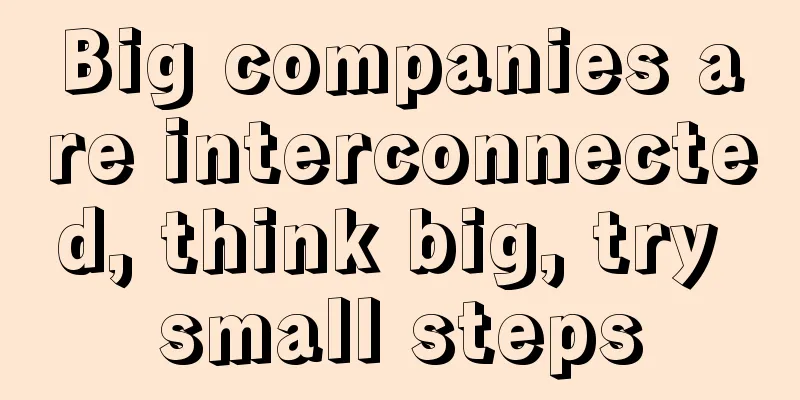 Big companies are interconnected, think big, try small steps