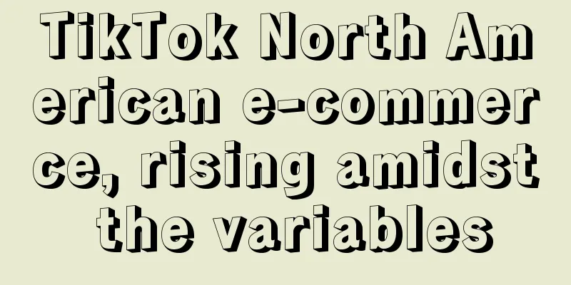 TikTok North American e-commerce, rising amidst the variables