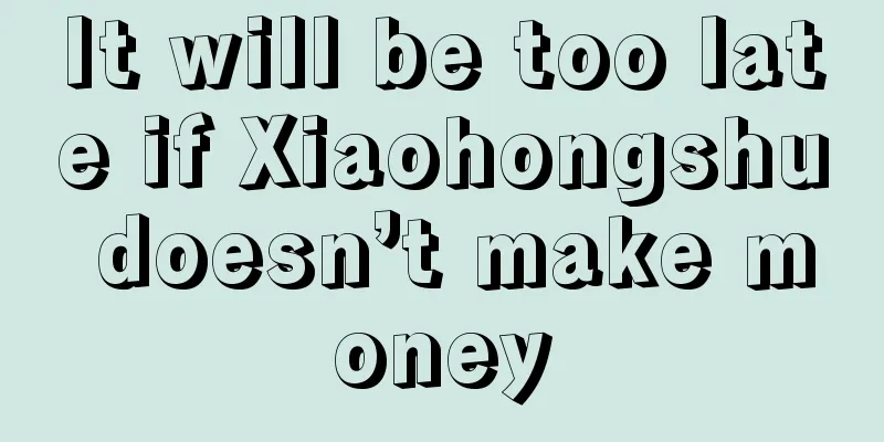 It will be too late if Xiaohongshu doesn’t make money