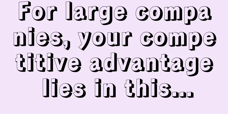 For large companies, your competitive advantage lies in this...