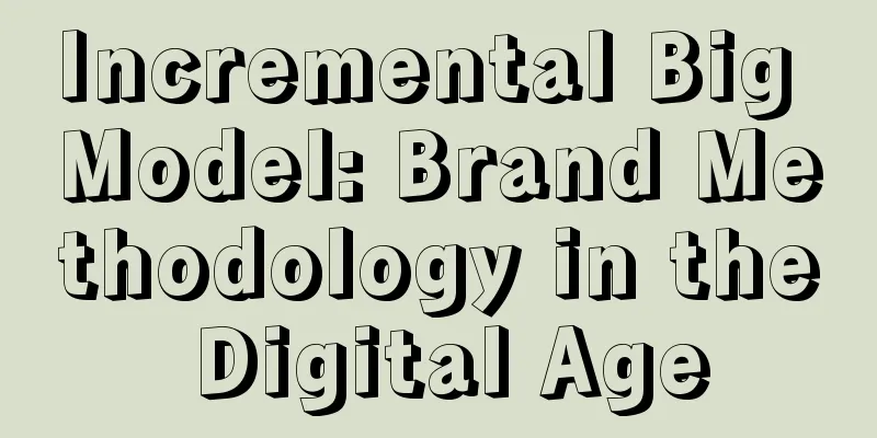 Incremental Big Model: Brand Methodology in the Digital Age