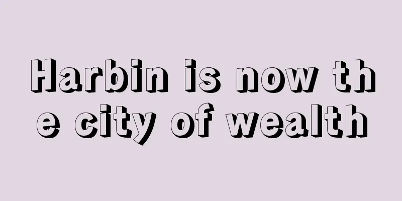 Harbin is now the city of wealth