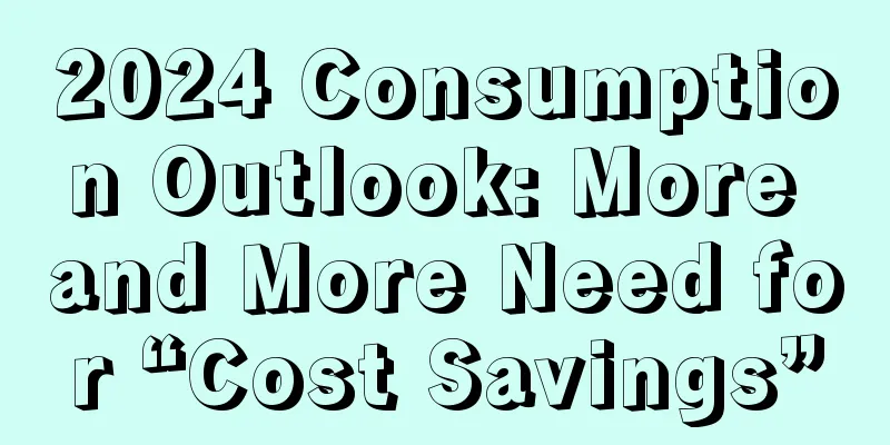 2024 Consumption Outlook: More and More Need for “Cost Savings”