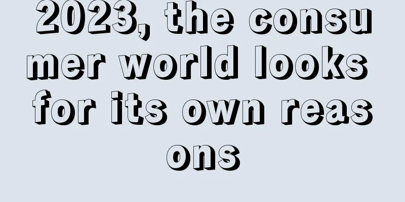 2023, the consumer world looks for its own reasons