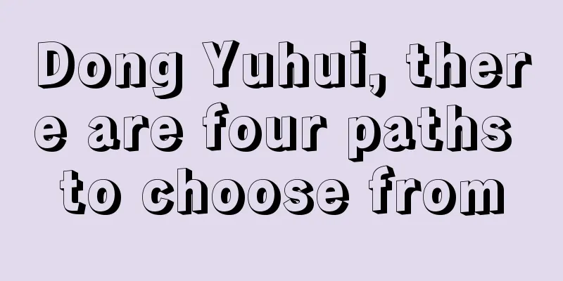 Dong Yuhui, there are four paths to choose from