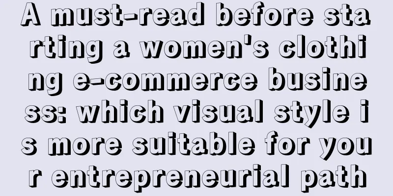 A must-read before starting a women's clothing e-commerce business: which visual style is more suitable for your entrepreneurial path