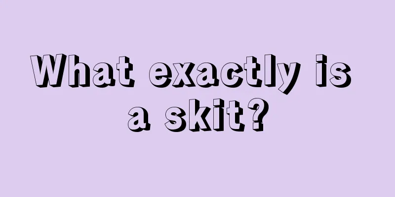 What exactly is a skit?