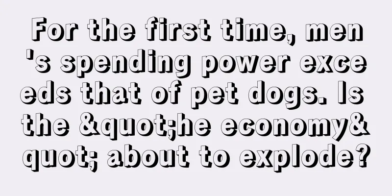 For the first time, men's spending power exceeds that of pet dogs. Is the "he economy" about to explode?