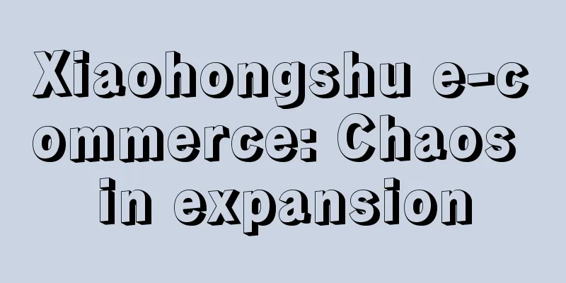 Xiaohongshu e-commerce: Chaos in expansion