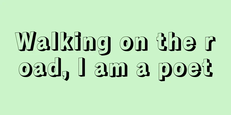 Walking on the road, I am a poet