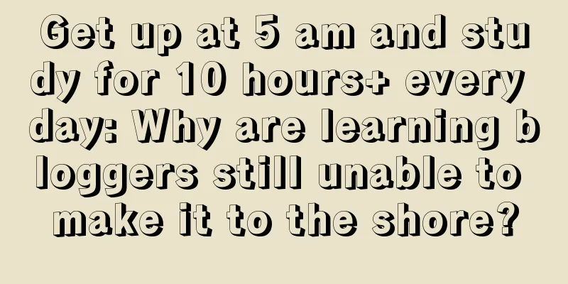 Get up at 5 am and study for 10 hours+ every day: Why are learning bloggers still unable to make it to the shore?