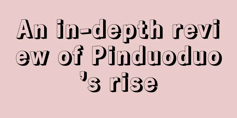 An in-depth review of Pinduoduo’s rise