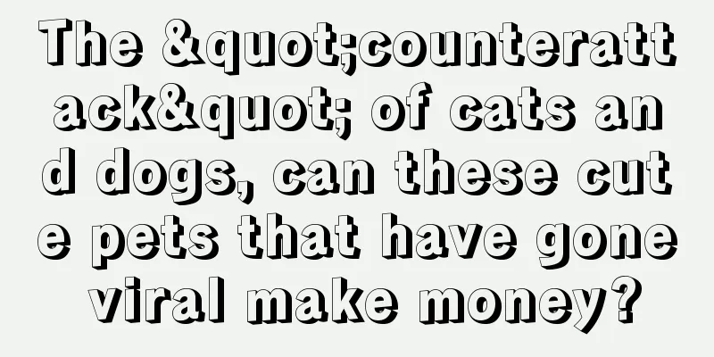 The "counterattack" of cats and dogs, can these cute pets that have gone viral make money?