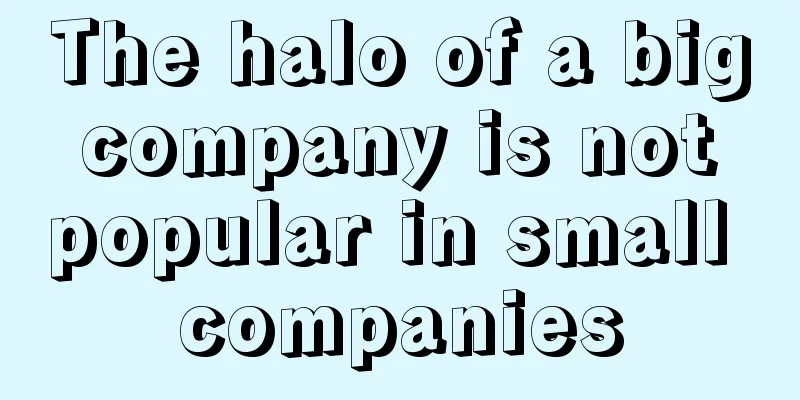 The halo of a big company is not popular in small companies