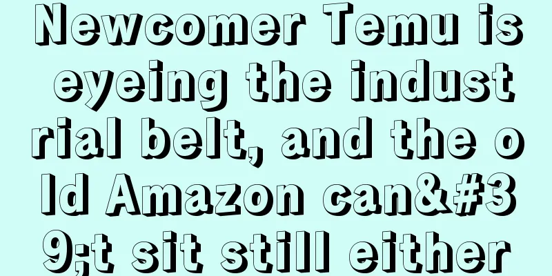Newcomer Temu is eyeing the industrial belt, and the old Amazon can't sit still either
